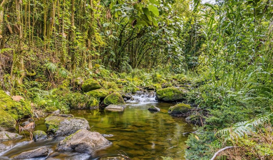 ILIOPUA RD, Honomu, HI 96728 - 0 Beds, 0 Bath