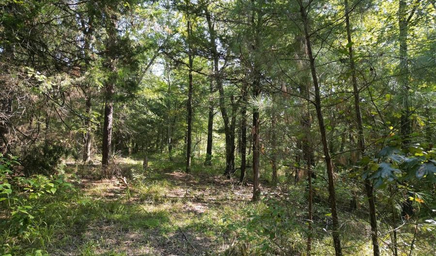 7 N Hall Rd, Antlers, OK 74523 - 0 Beds, 0 Bath