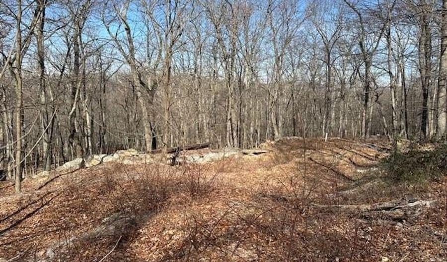 2 08 ACRES DEER PATH Rd, Augusta, WV 26704 - 0 Beds, 0 Bath