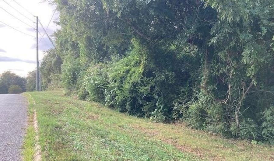 C St lot 1 & 2, Alexander City, AL 35010 - 0 Beds, 0 Bath