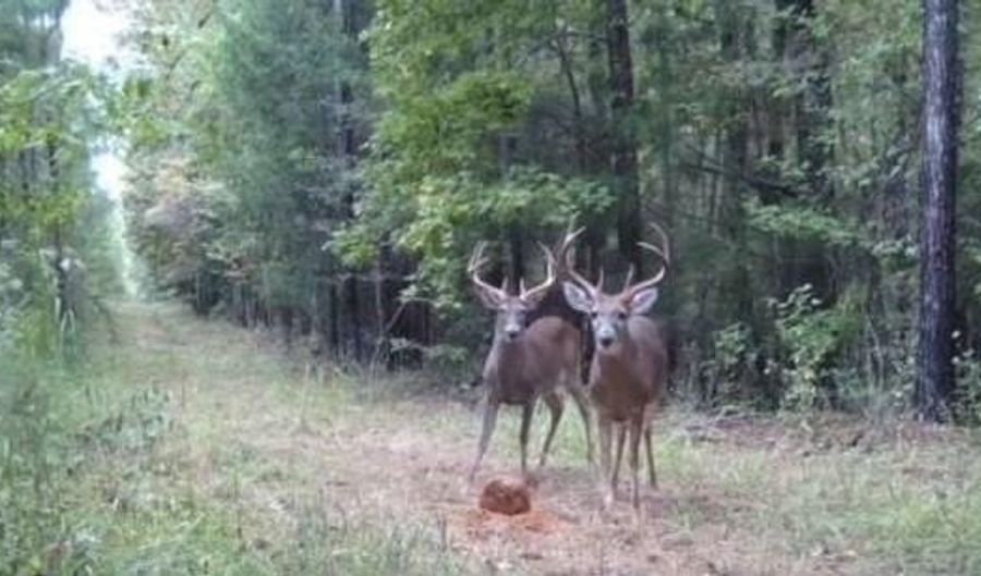 9030 HILLANDALE Dr, Auburn, AL 36830 - 0 Beds, 0 Bath