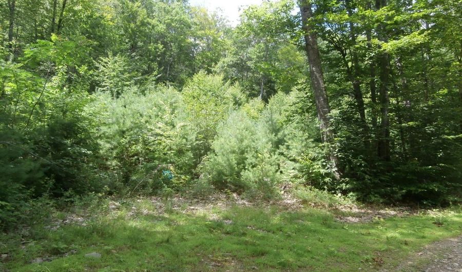 Lot 005 Hebo Hybo Road, Acton, ME 04001 - 0 Beds, 0 Bath