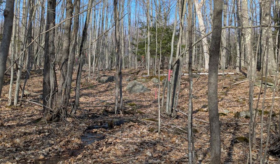 M 3 - L 15-1 & 2 Prospect Mountain Road, Alton, NH 03809 - 0 Beds, 0 Bath