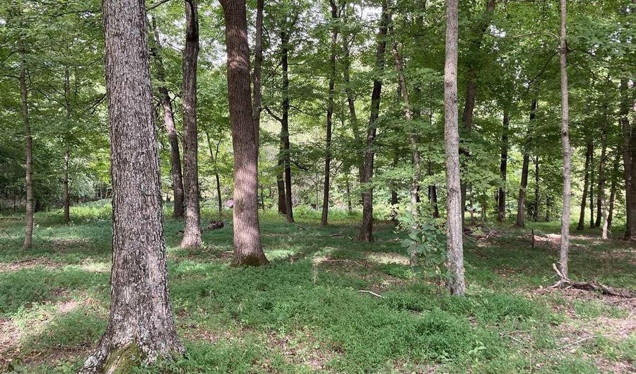 1647 Boone Hollow Rd, Battletown, KY 40104 - 0 Beds, 0 Bath