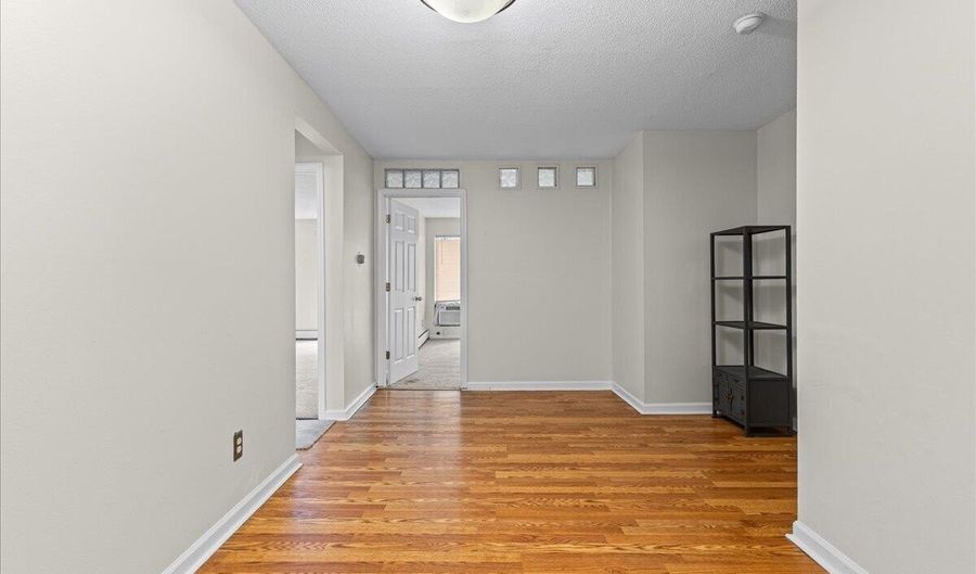 1531 Packard St 13, Ann Arbor, MI 48104 - 2 Beds, 1 Bath