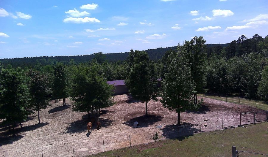 1417 Skyline Dr, Amity, AR 71921 - 2 Beds, 1 Bath