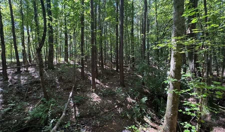 91 Hickory Creek Ln, Acworth, GA 30101 - 0 Beds, 0 Bath