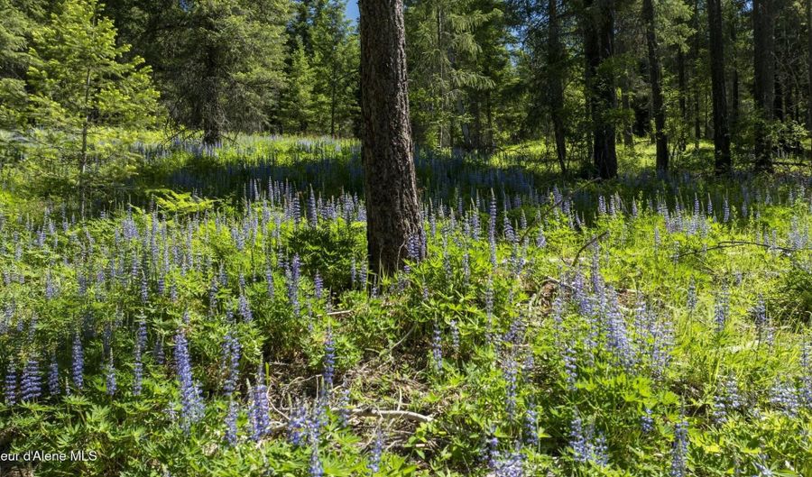 Kreiger Creek Rd Lot 2, Careywood, ID 83809 - 0 Beds, 0 Bath