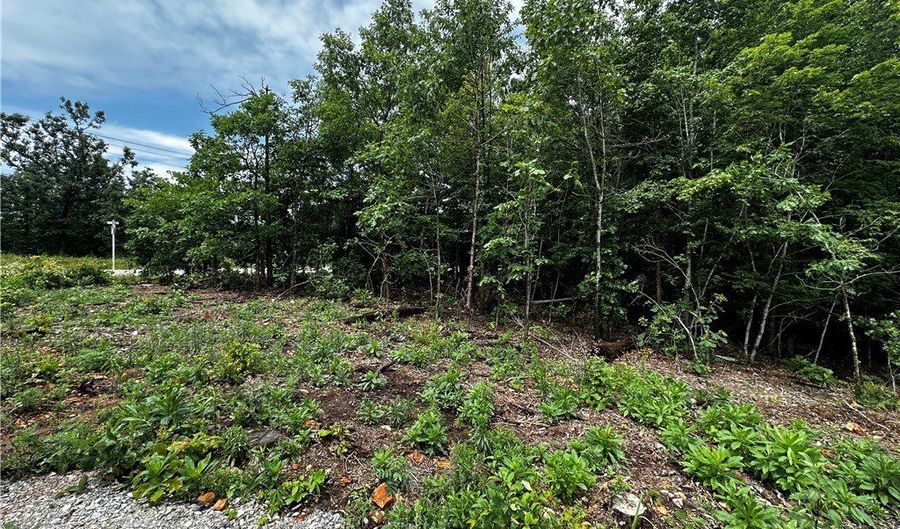 Lasswade Circle lot 10, Bella Vista, AR 72712 - 0 Beds, 0 Bath
