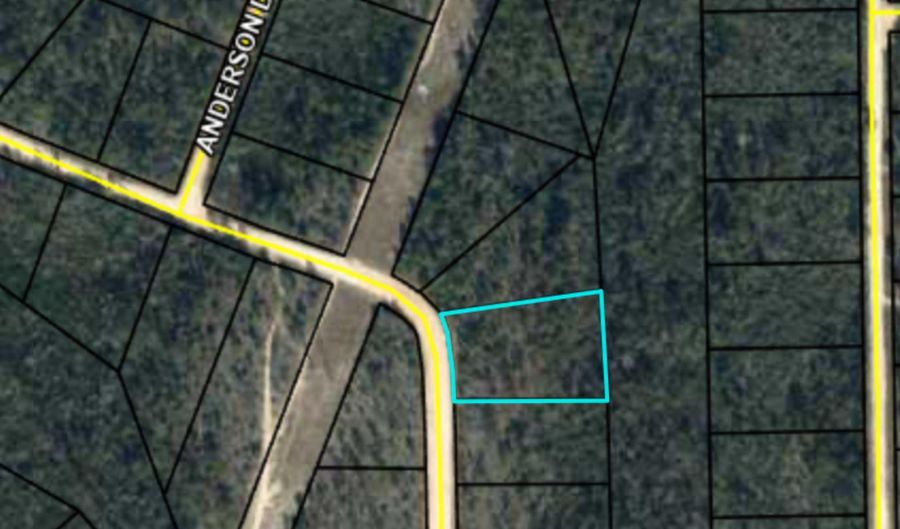 Ocala Drive, Alford, FL 32420 - 0 Beds, 0 Bath