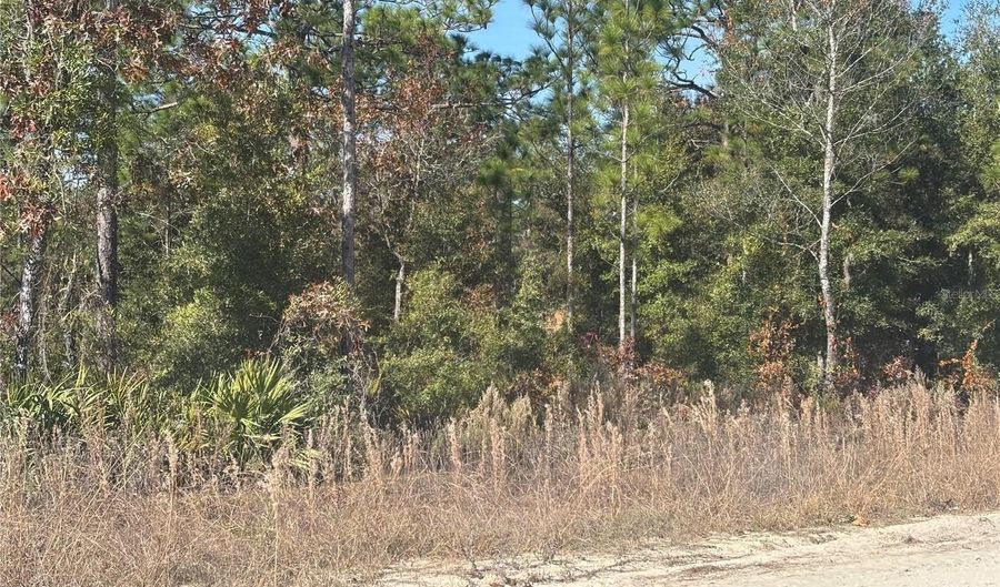 0000 NE 106TH Ct, Archer, FL 32618 - 0 Beds, 0 Bath