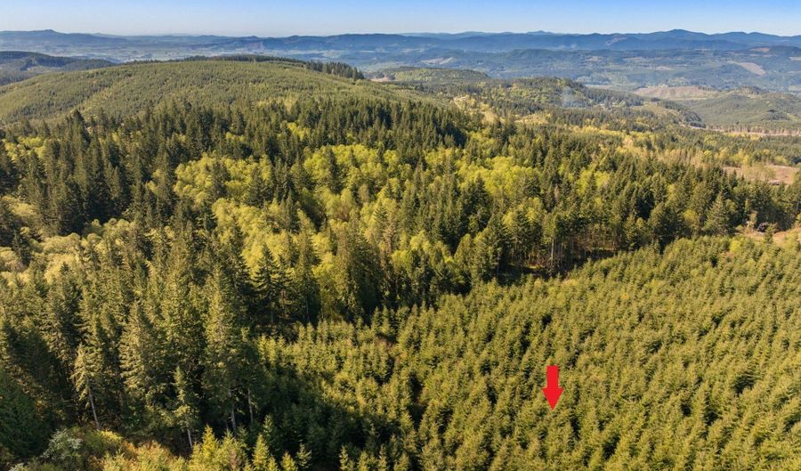 NW Hidden Mountain Dr, Banks, OR 97106 - 0 Beds, 0 Bath