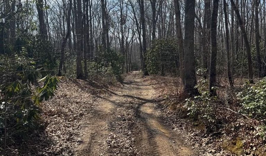 Brookstone Road lot 3, Bastian, VA 24314 - 0 Beds, 0 Bath