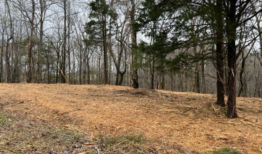 Willow Grove Hwy lot 2, Allons, TN 38541 - 0 Beds, 0 Bath