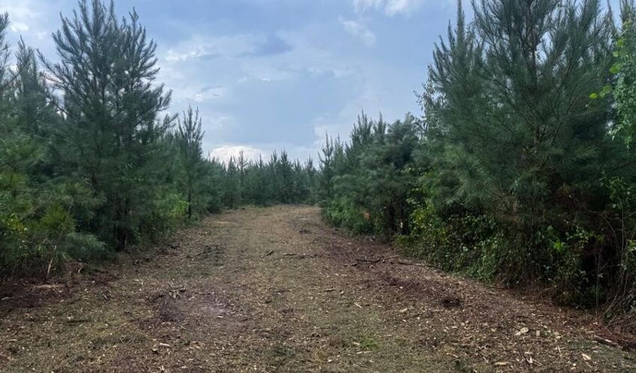 Ms Hwy 540, Braxton, MS 39044 - 0 Beds, 0 Bath