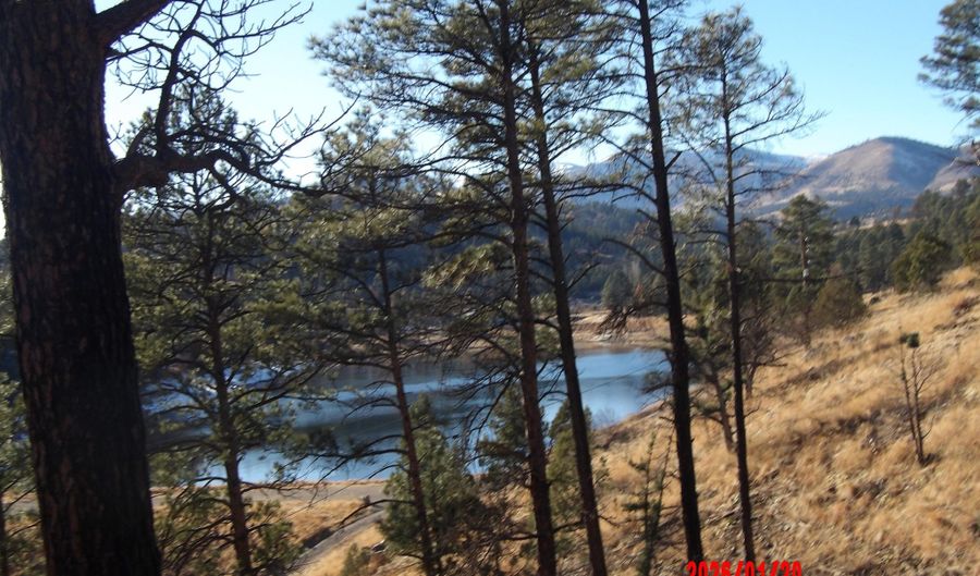 248 Lake Shore Dr 1, Alto, NM 88312 - 0 Beds, 0 Bath