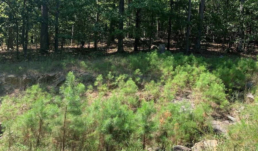 39 Viajero Dr, Hot Springs Village, AR 71909 - 0 Beds, 0 Bath