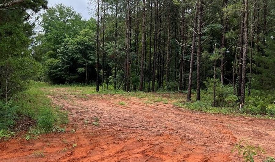 01 Parcel 2 County Road 6629, Banks, AL 36005 - 0 Beds, 0 Bath
