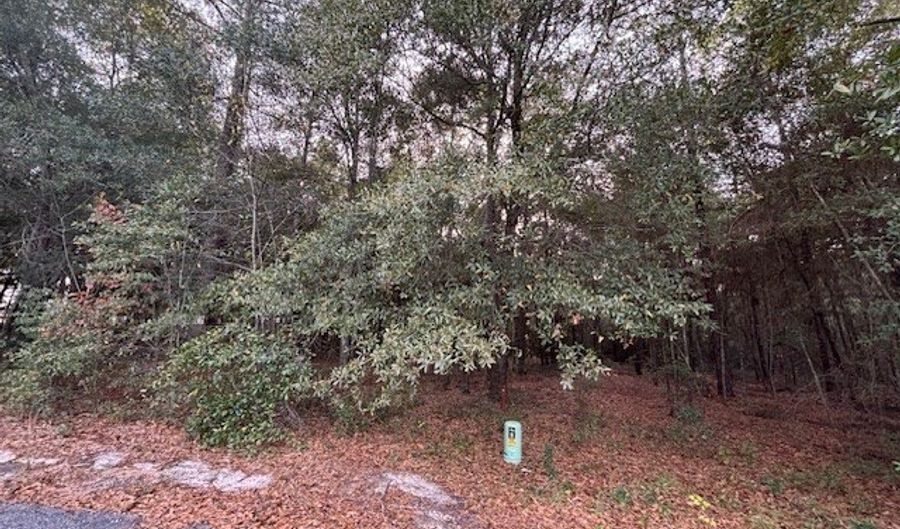 Lot 32 Marie Lane, Bainbridge, GA 39817 - 0 Beds, 0 Bath