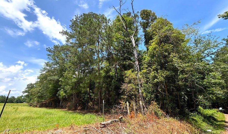 Dixon Ln SE, Bogue Chitto, MS 39629 - 0 Beds, 0 Bath