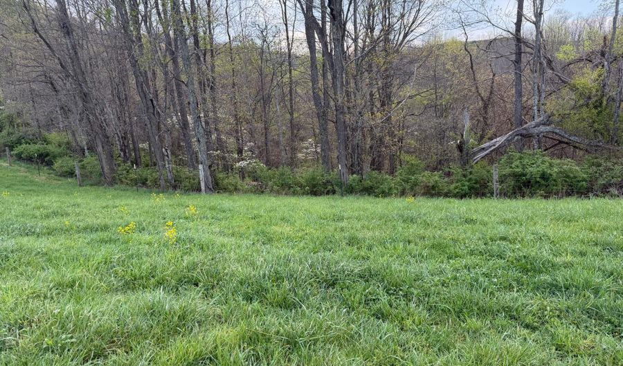 1999 Snake Run Rd, Alderson, WV 24910 - 0 Beds, 0 Bath