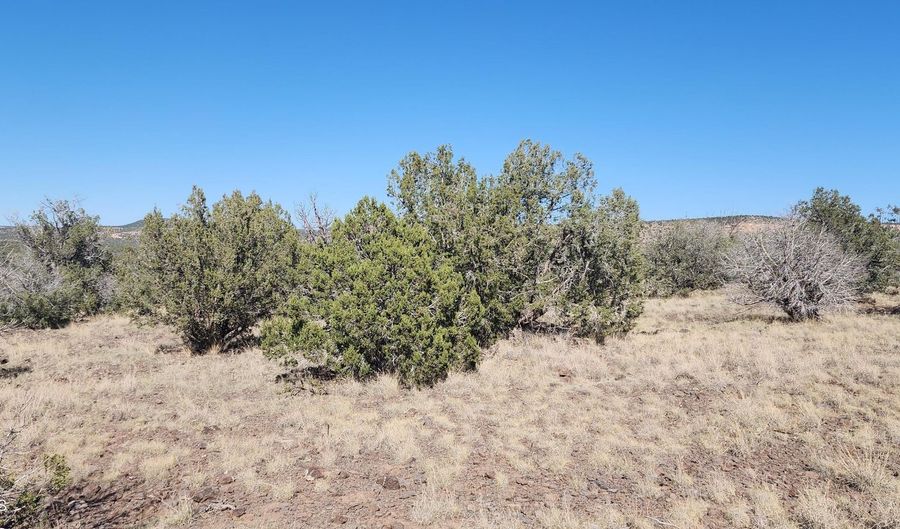 3214 N Kerren Lp, Ash Fork, AZ 86320 - 0 Beds, 0 Bath