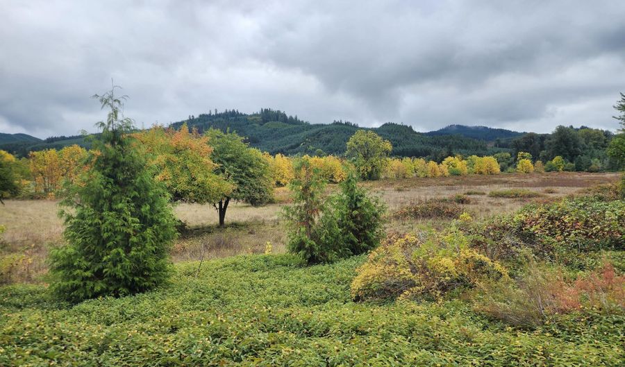 19326 Alsea Hwy, Alsea, OR 97324 - 0 Beds, 0 Bath