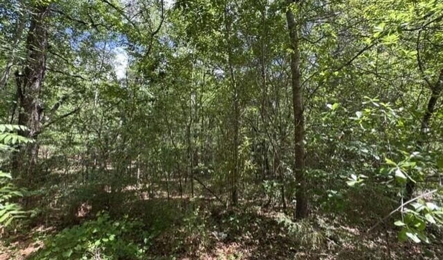 Utley Street lot 3, Aberdeen, NC 28315 - 0 Beds, 0 Bath