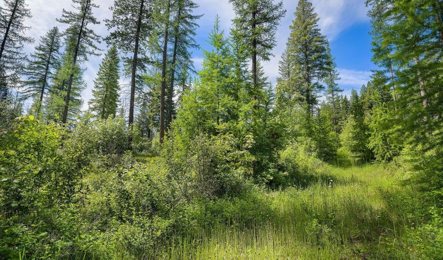 477 Chief Cliff Trl, Bigfork, MT 59911 - 0 Beds, 0 Bath