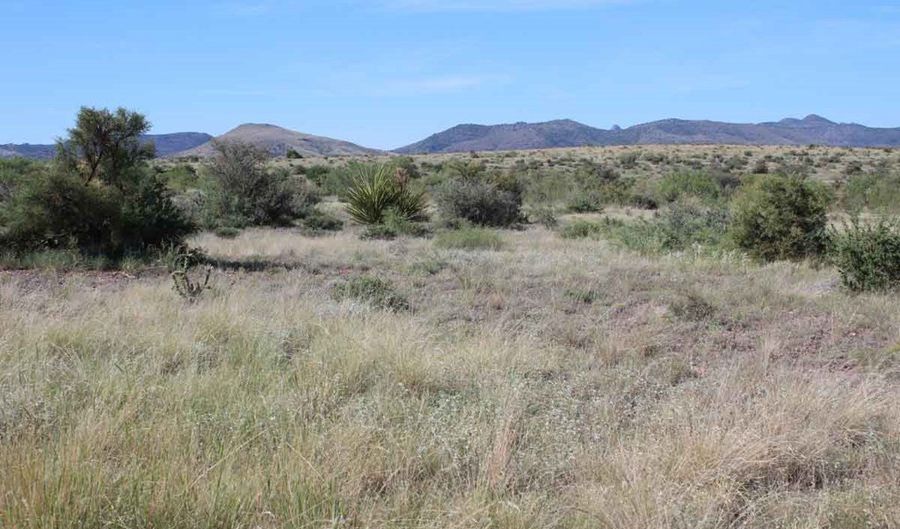 Tract 91 Sierra La Rana, Alpine, TX 79830 - 0 Beds, 0 Bath