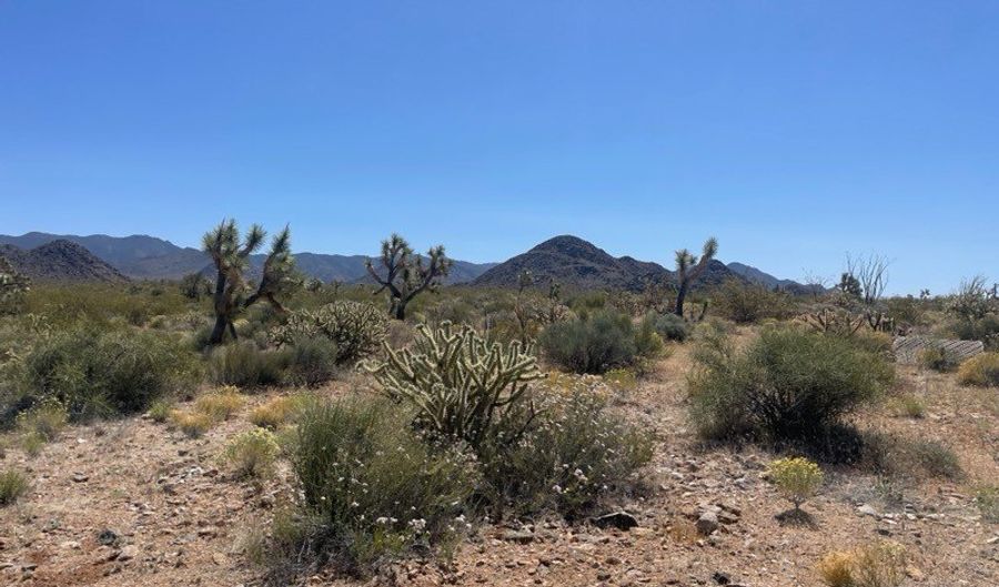 6 E Allison Dr, Yucca, AZ 86438 - 0 Beds, 0 Bath