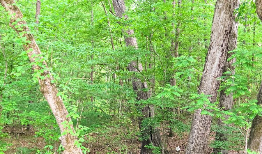 VAC Stony Gap Road, Albemarle, NC 28001 - 0 Beds, 0 Bath