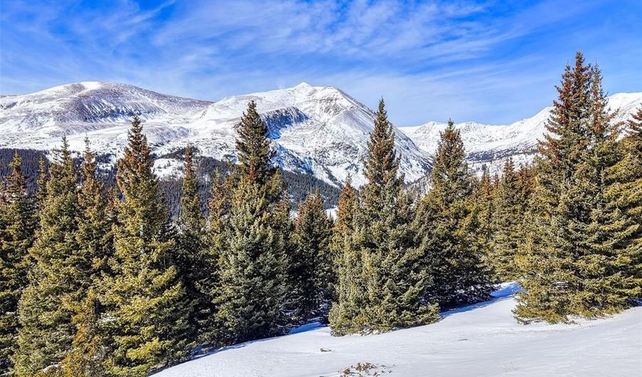 58969 Highway 9 Lot T08, Alma, CO 80420 - 0 Beds, 0 Bath