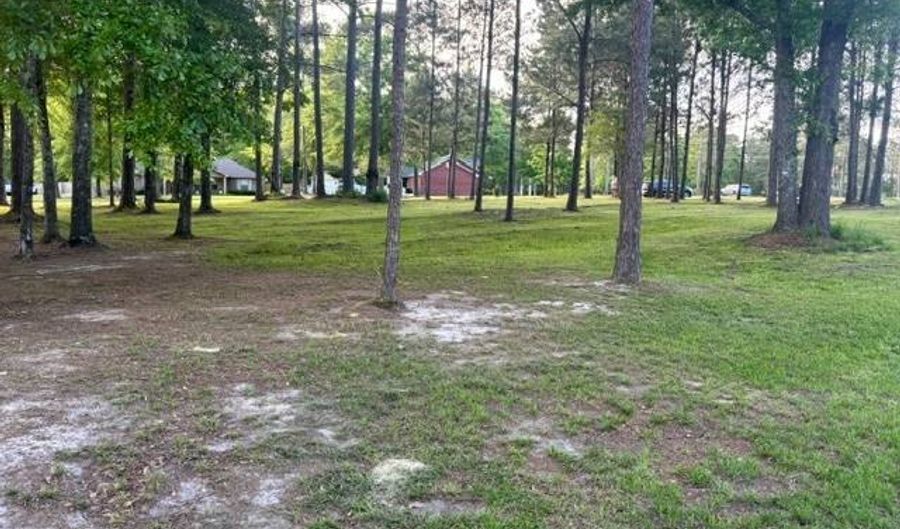 Daisy Lane 1, Andalusia, AL 36420 - 0 Beds, 0 Bath