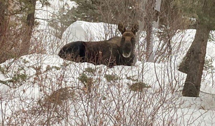 31 Basin Creek Rd, Boulder, MT 59631 - 2 Beds, 2 Bath