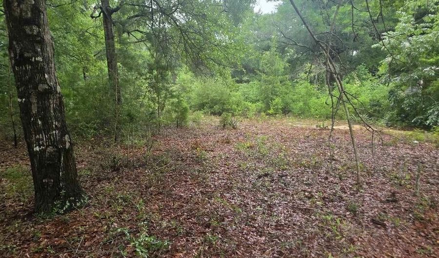 Pickens Cir, Baker, FL 32531 - 0 Beds, 0 Bath