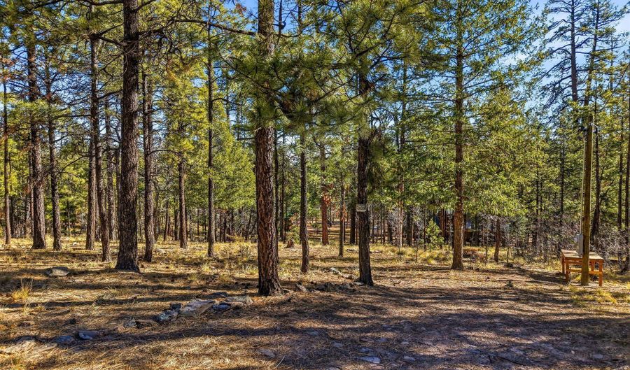 20 Co Rd 2067, Alpine, AZ 85920 - 0 Beds, 0 Bath