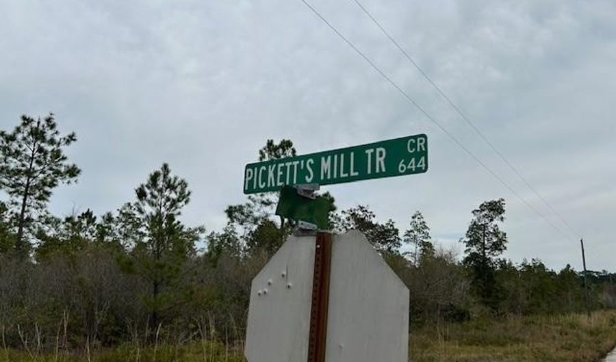 Lot 76 Picketts Mill Trail, Waynesville, GA 31566 - 0 Beds, 0 Bath