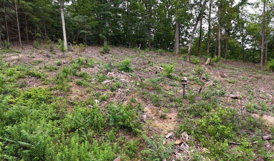 Bayside Boulevard lot 42, Bean Station, TN 37708 - 0 Beds, 0 Bath
