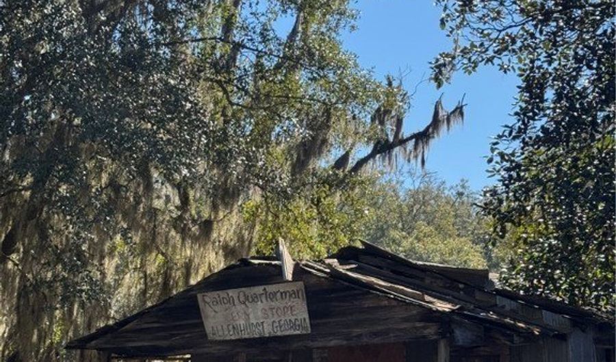 353 Wilder Rd, Allenhurst, GA 31301 - 3 Beds, 1 Bath