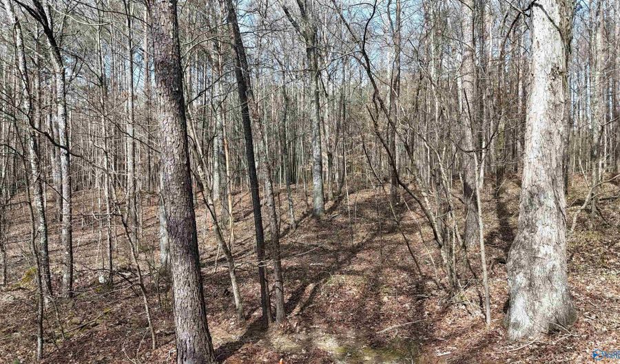 002 Toney Dr, Altoona, AL 35952 - 0 Beds, 0 Bath