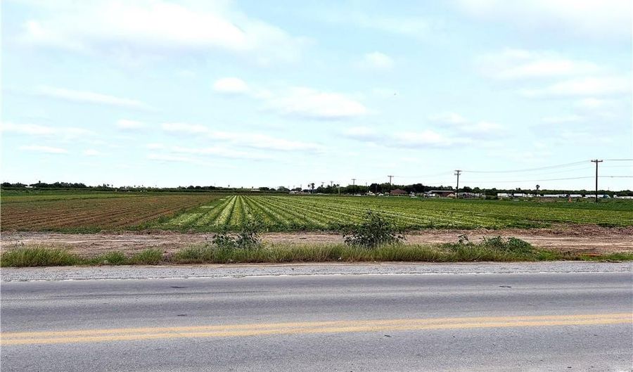 N Cesar Chavez Road, Alamo, TX 78516 - 0 Beds, 0 Bath
