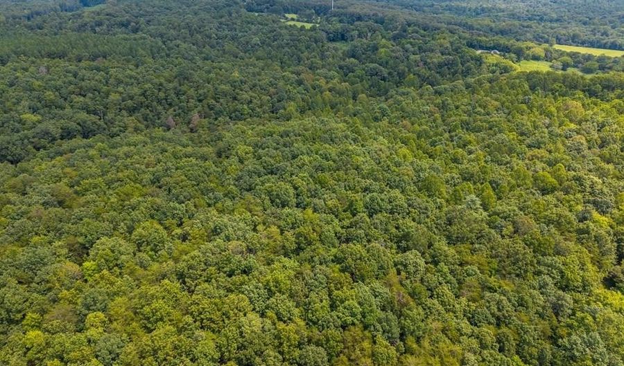 626 Holiday Lake Rd Lot 1, Appomattox, VA 24522 - 0 Beds, 0 Bath