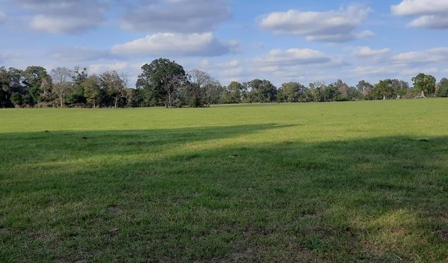232 344 County Road 344, Bell, FL 32619 - 0 Beds, 0 Bath