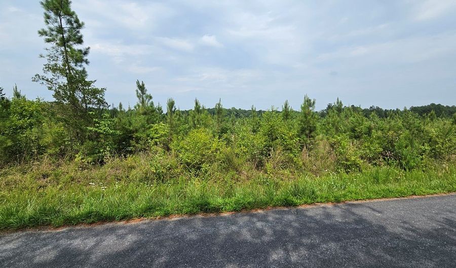 Penlan lot 3, Arvonia, VA 23004 - 0 Beds, 0 Bath