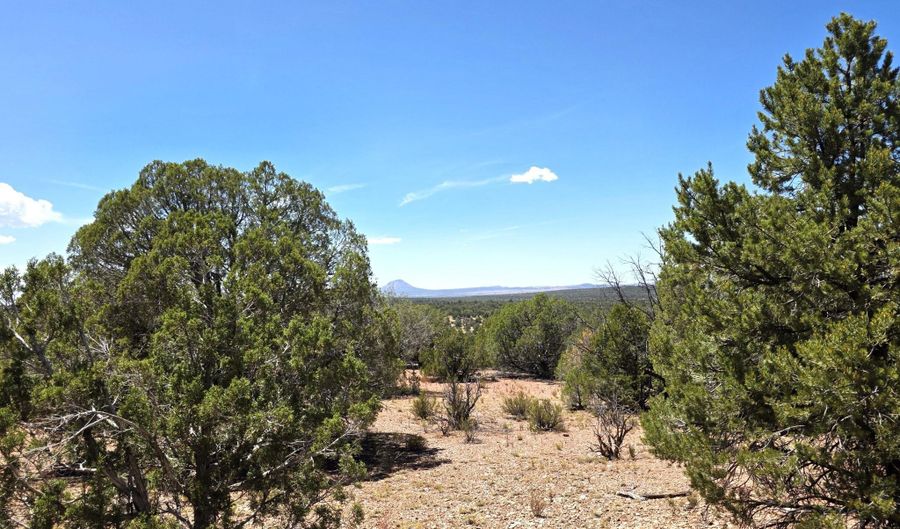 3200 W Poppy Rd, Ash Fork, AZ 86320 - 0 Beds, 0 Bath