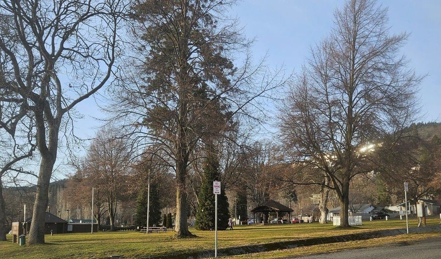 204 N WALNUT St, Bingen, WA 98605 - 2 Beds, 1 Bath