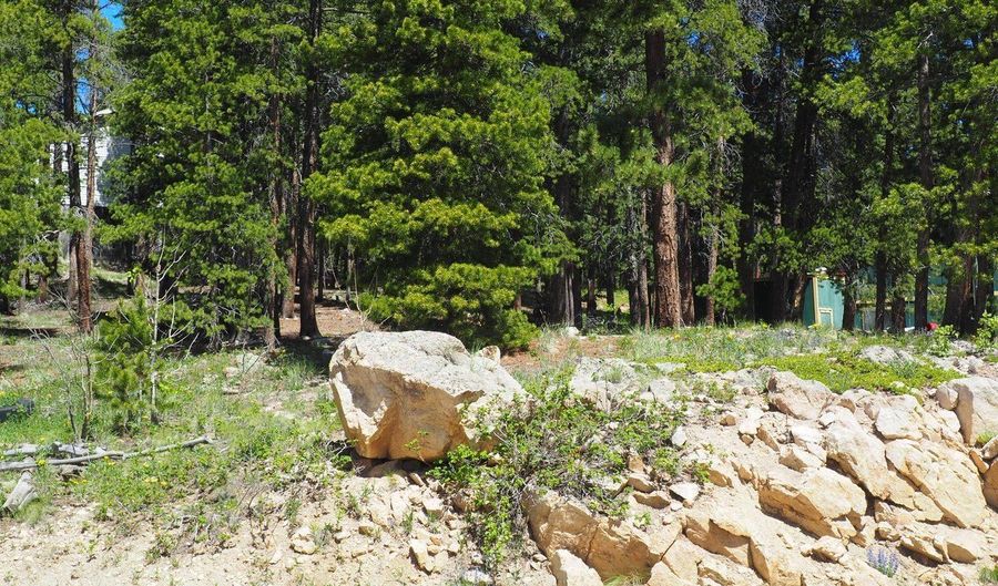 Caesar Rd, Black Hawk, CO 80422 - 0 Beds, 0 Bath