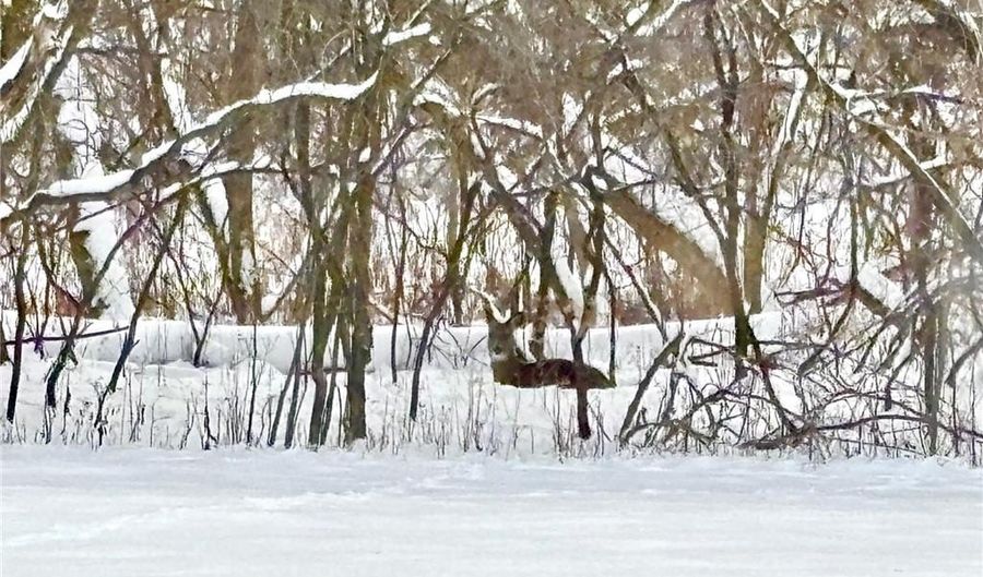 14995 42nd St S, Afton, MN 55001 - 6 Beds, 6 Bath