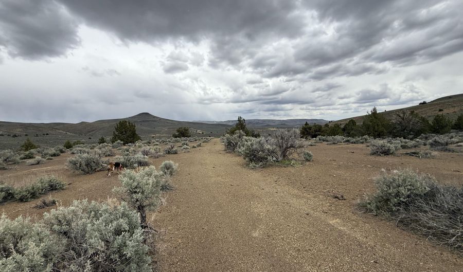 Wall Canyon Reservoir Road, Gerlach, NV 89412 - 0 Beds, 0 Bath